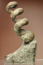 北海道の異常巻きアンモナイトが登場！ユーポストリコセラス