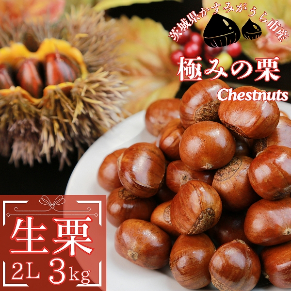 予約/10月中旬 発送）かすみがうら市産 生栗 2Lサイズ(冷蔵)方』の焼き