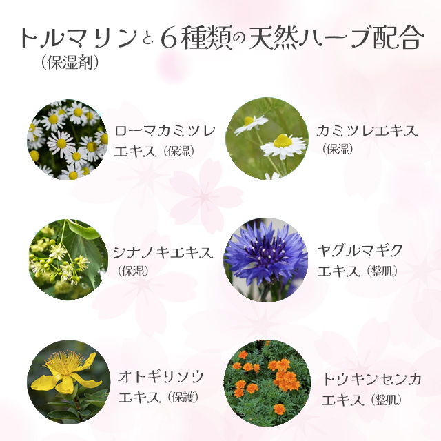 送料無料】ビセキ EXクリーム 80g（アミティ）