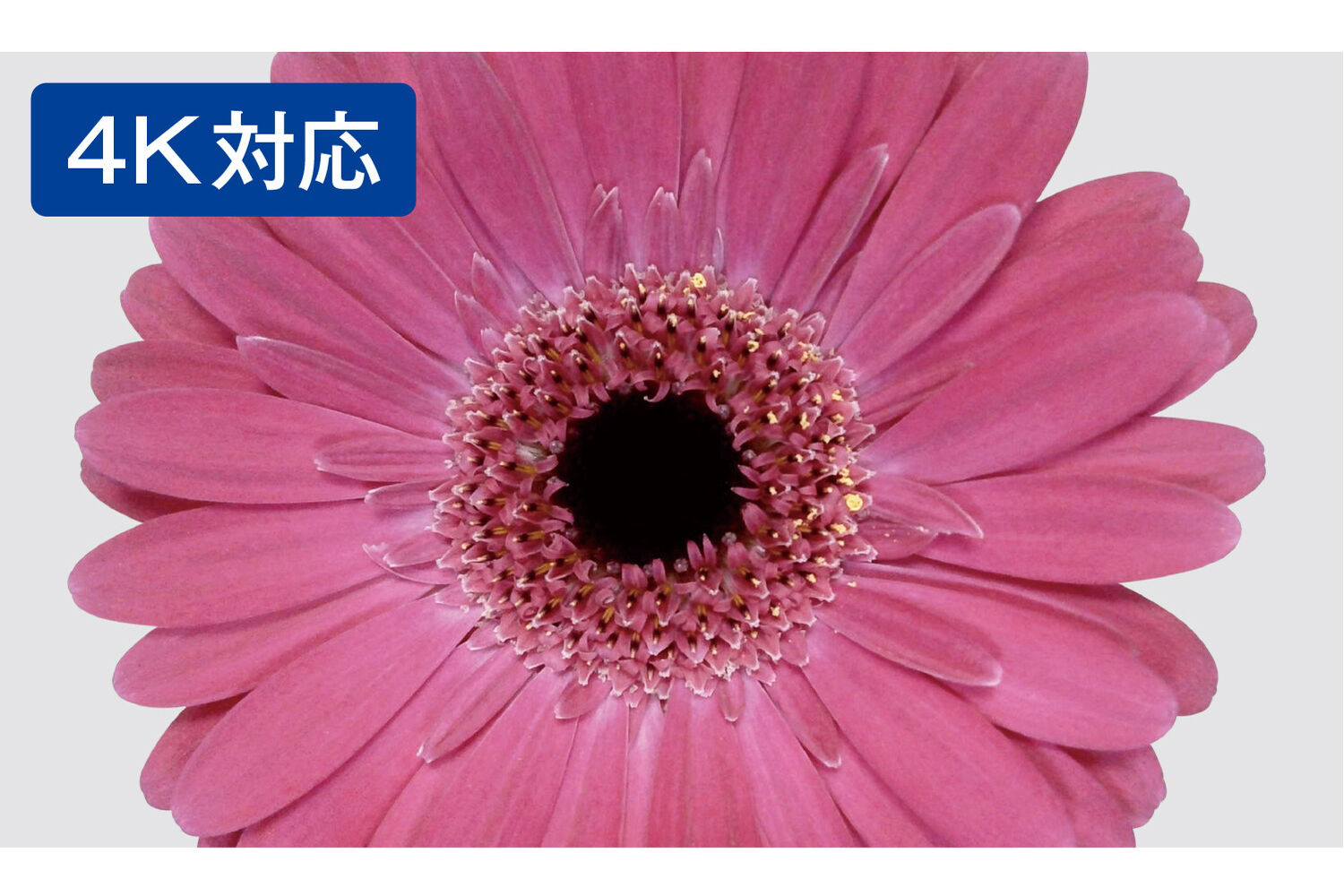 わずか1.4cmに折り畳める、アングル自在の4K画質WEBカメラ「PC用マルチ