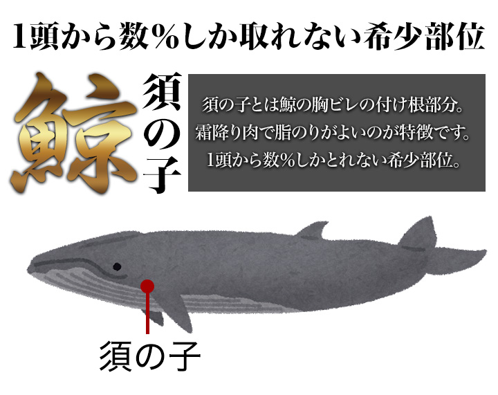 マッコウクジラの歯 574.3グラム 磨き 抹香鯨 鯨 歯 牙 根付 印材