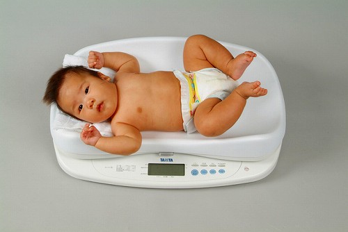 業務用ベビースケール BD-815 計量器専門店のはかりや