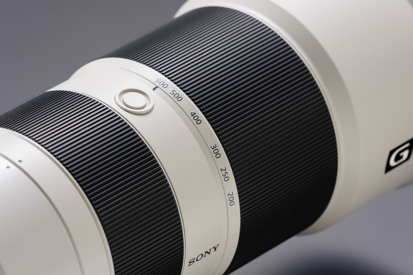 ソニー FE 200-600mm F5.6-6.3 G OSS レビュー｜野鳥撮影コスパ