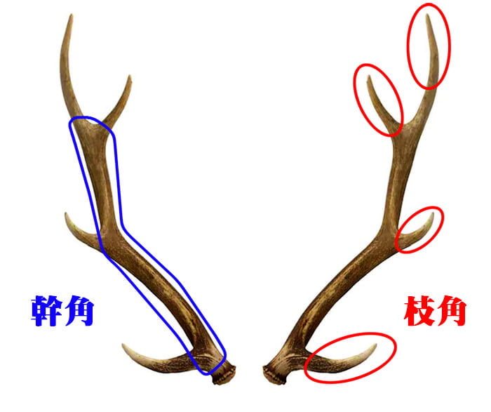 鹿角】おまかせ 幹角 4cm〜6cm 用途自由 ペットおもちゃ、アクセサリー