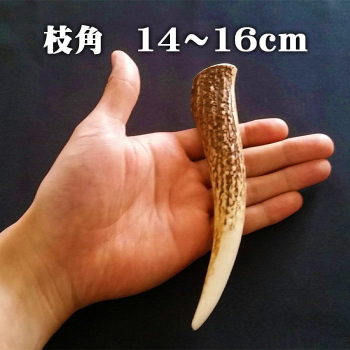 鹿角】おまかせ 枝角 14cm〜16cm 用途自由 ペットおもちゃ