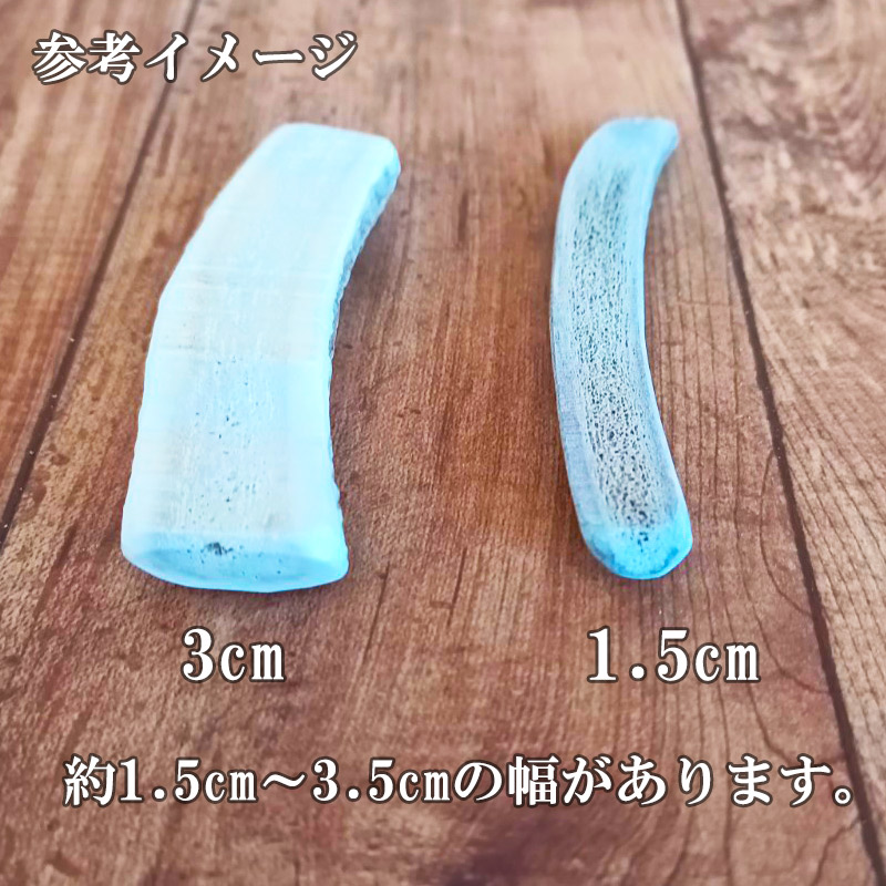 鹿角 9-11cm 半割カット 1本 【ネコポス送料無料】 - 北海道エゾ鹿肉