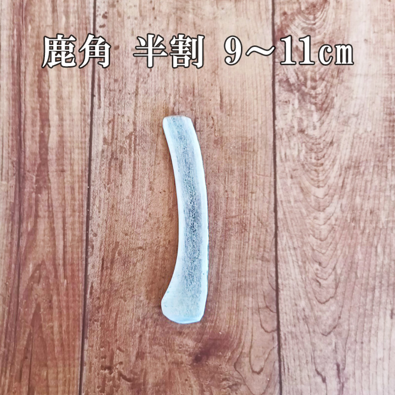 鹿角 9-11cm 半割カット 1本 【ネコポス送料無料】 - 北海道エゾ鹿肉