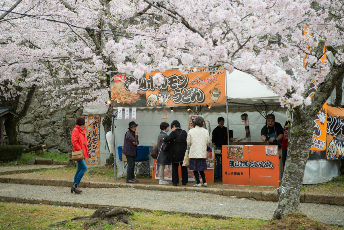 津山城（鶴山公園）の桜（2017年） | 岡山 湯郷温泉の旅館 | 季譜の里