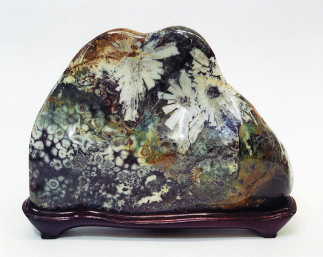 愛好者コレクション 黒田コレクション