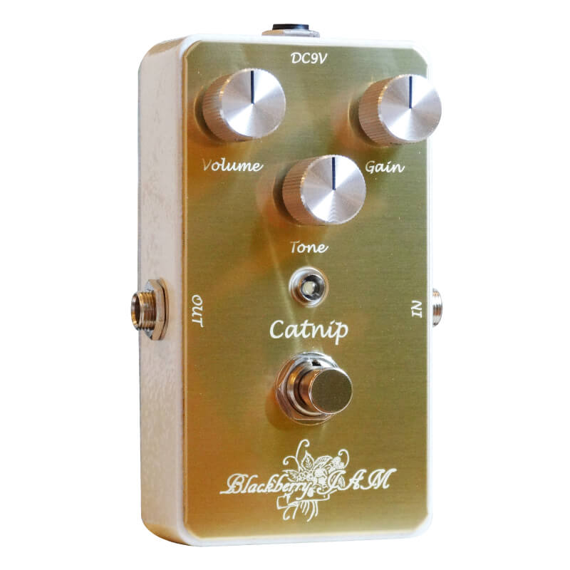 Blackcurrant | キクタニミュージック