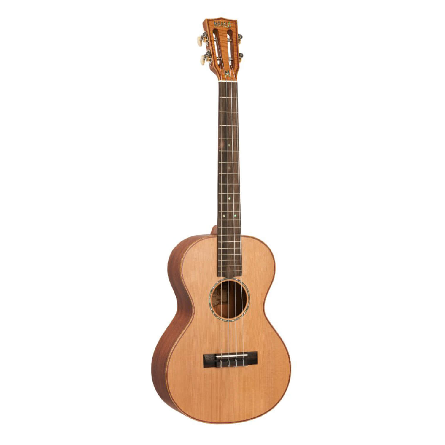 MM2E | キクタニミュージック