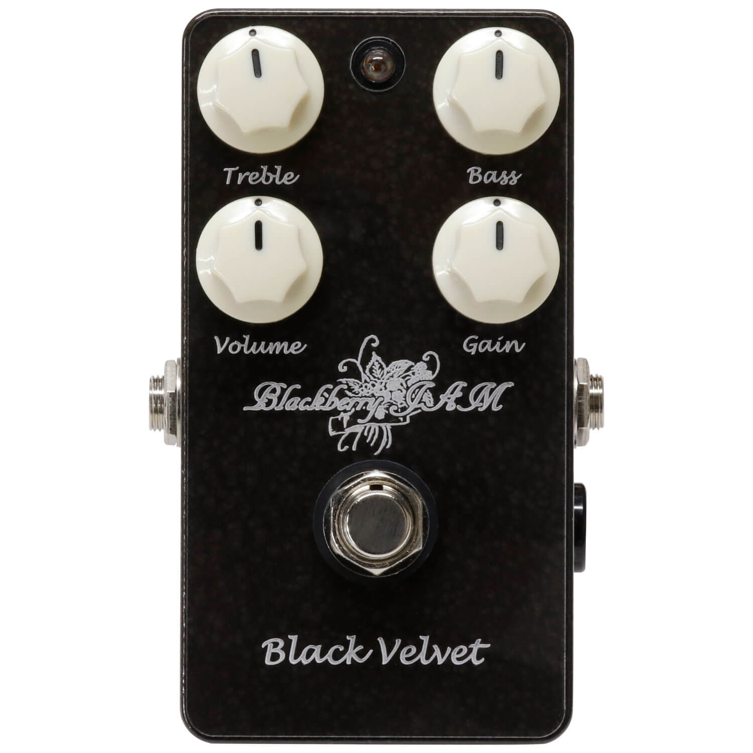 Blackberry JAM | キクタニミュージック