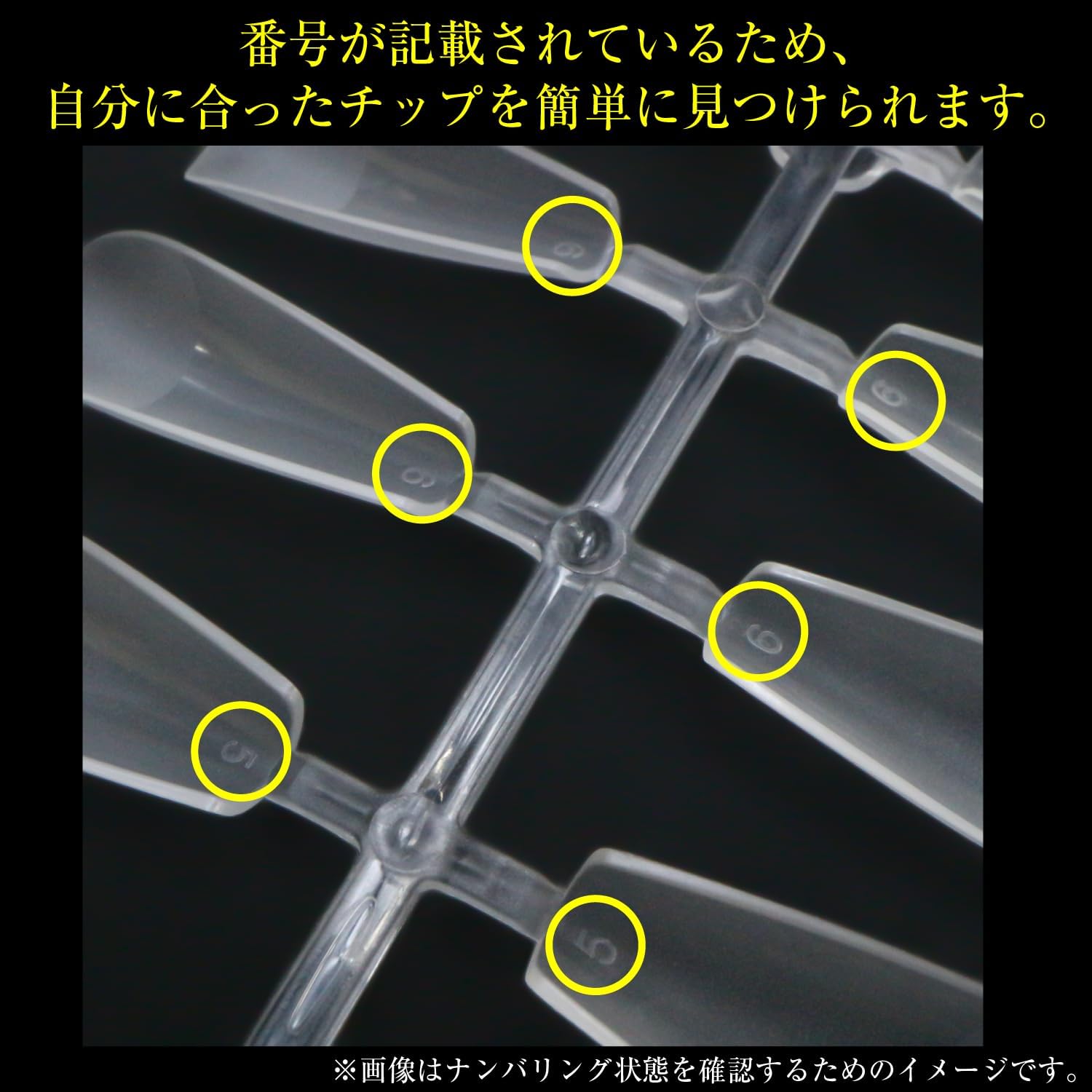 ネイルチップ スクエア 240枚 10サイズ 付け爪 ロング 長さだし クリア