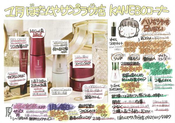 トワニータイムリフレッシャー詰め替え2本セットでお得