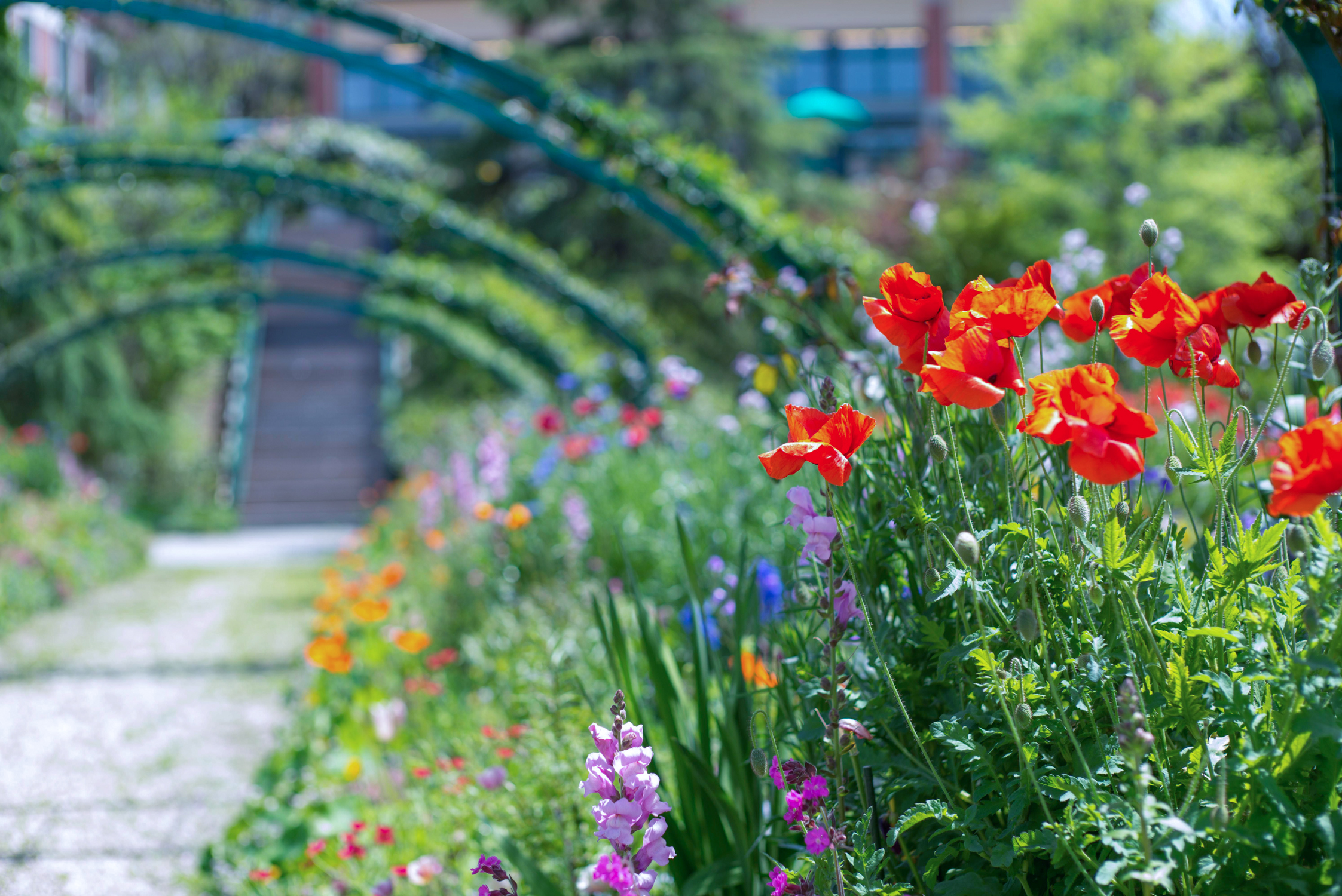 花の庭 – 北川村「モネの庭」マルモッタン