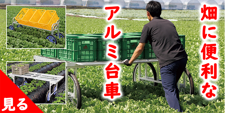 ネギ簡易移植機ひっぱりくんHP-16 | 製品紹介 | 株式会社美善