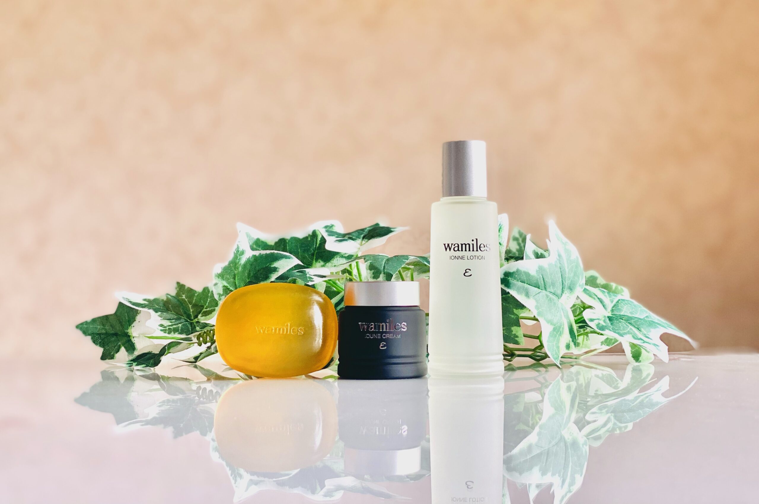 株式会社ワミレス | ワミレス化粧品正規販売会社 卸売・美顔サロン経営