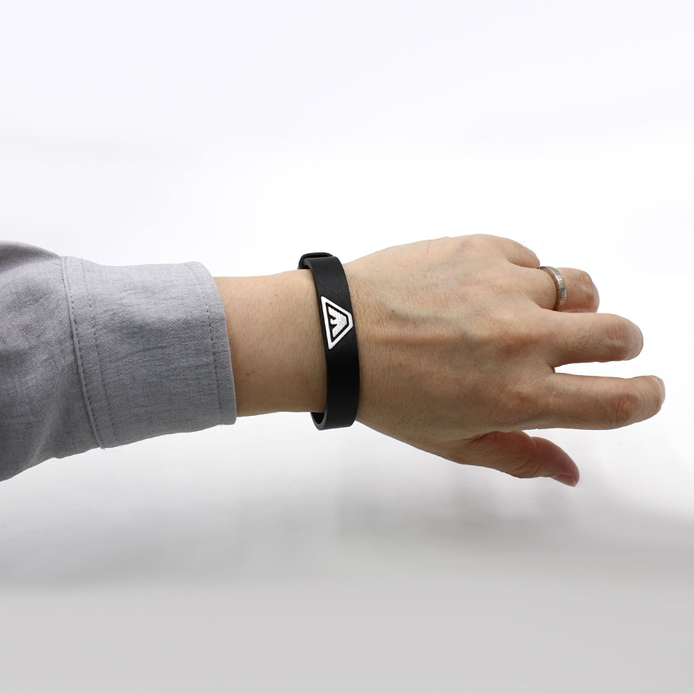 EMPORIO ARMANI エンポリオアルマーニ EGS3128040 BRACELET