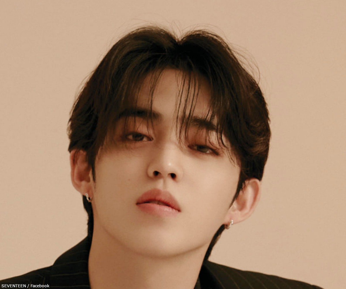 SEVENTEEN エスクプス、大好きなメンバーたちがいないことに耐えられ