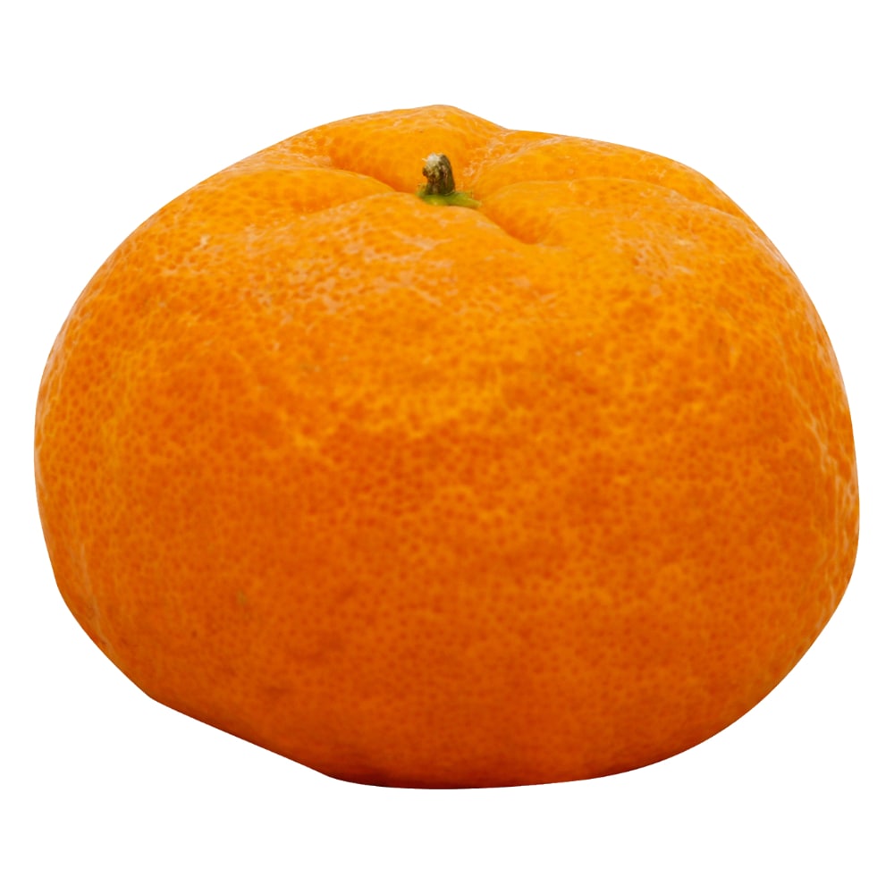 Golden Nugget Mandarins, 1 ct - Smith's Food and Drug