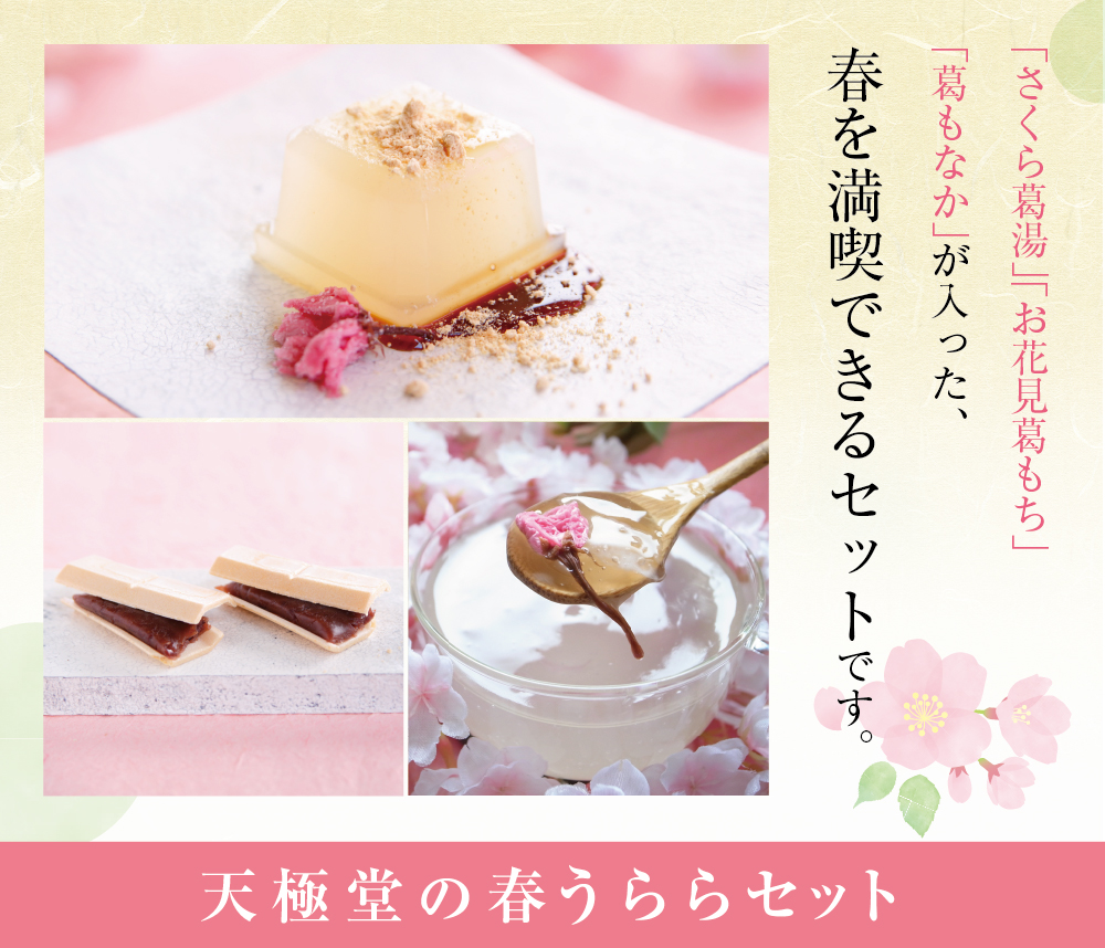 吉野本葛 天極堂 「春うららセット」