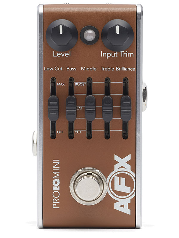 FISHMANよりアコースティックギタリストのために特別に設計された