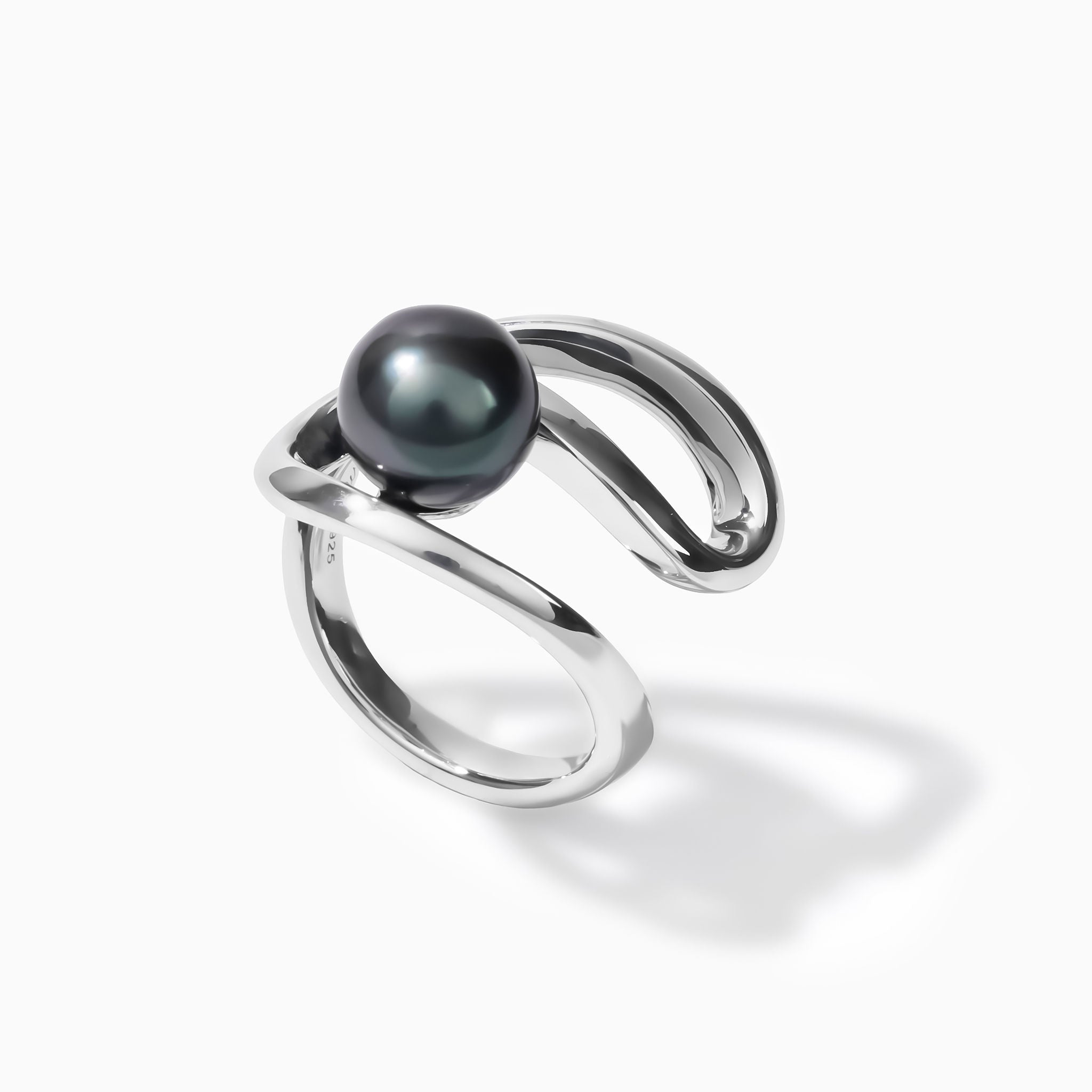 本真珠南洋黒蝶と白蝶真珠オーシャンブルーとブルー無調「鳥と枝