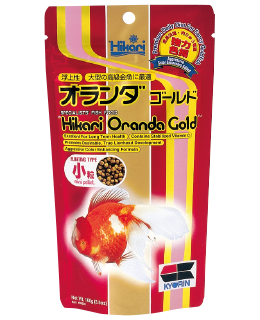 ランチュウベビーゴールド＜らんちゅう,オランダシシガシラ,東錦などに