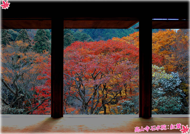 栂尾山高山寺 紅葉