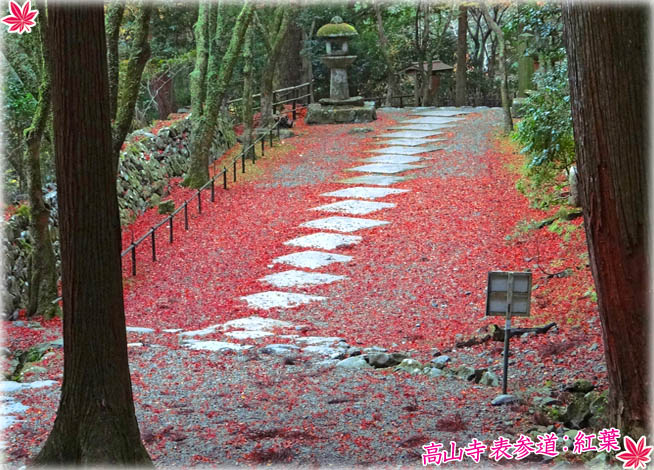 栂尾山高山寺 紅葉