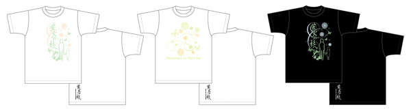 蛍火の杜へ| アニメ映画公式サイト