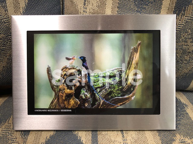 ポストカード用フォトフレーム <ラドンナ> シルバー Hobby's World