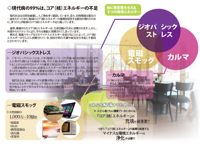 ソマヴェディック 「ヴェディック セカンドジェネレーション」