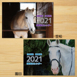2020.08.10 採用写真決定！笠松競馬の誘導馬「エクスペルテ