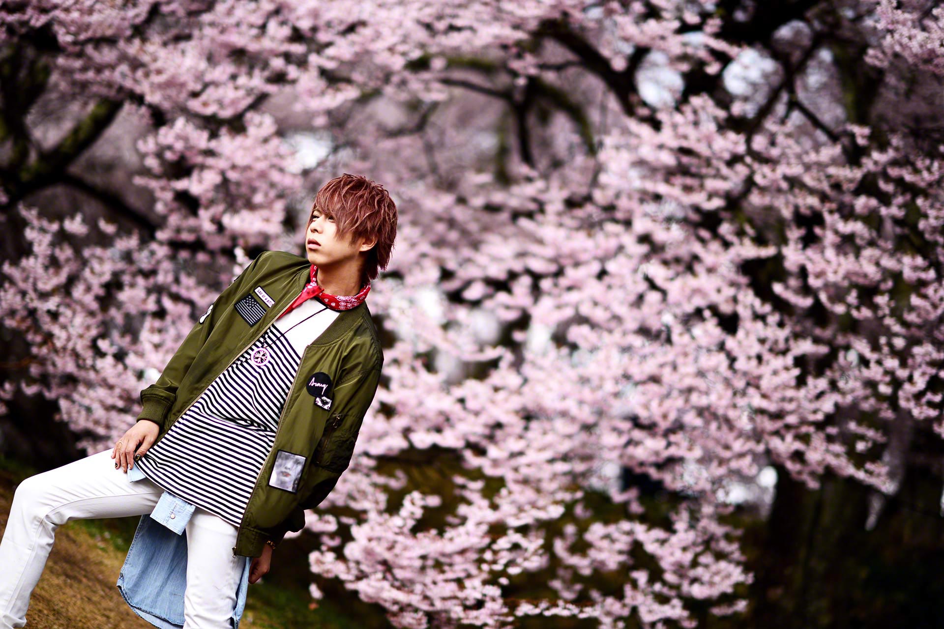 ゼングラ vol.12 桜 -さくら-［2017.05］ | ホストクラブ紹介・ホスト