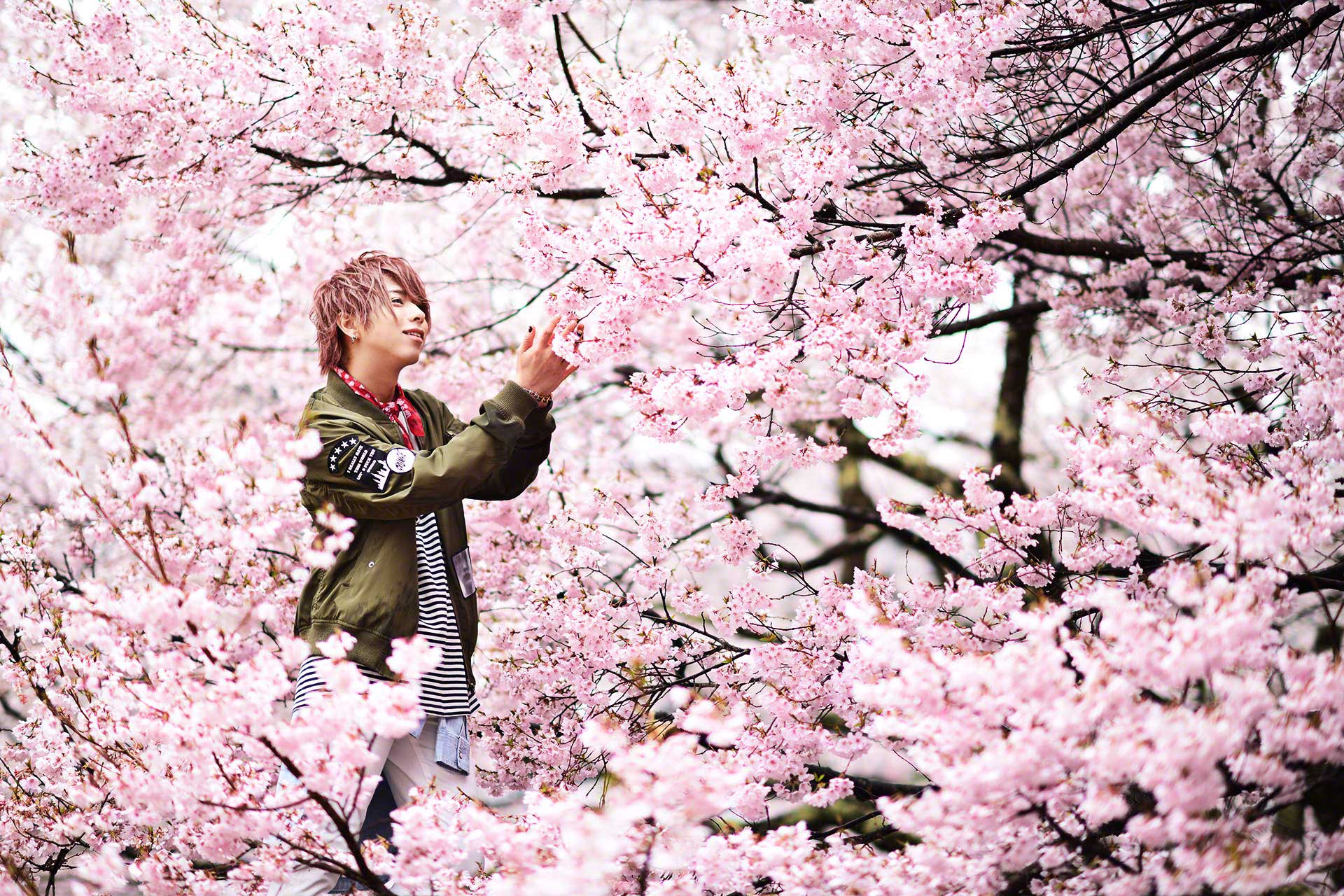 ゼングラ vol.12 桜 -さくら-［2017.05］ | ホストクラブ紹介・ホスト