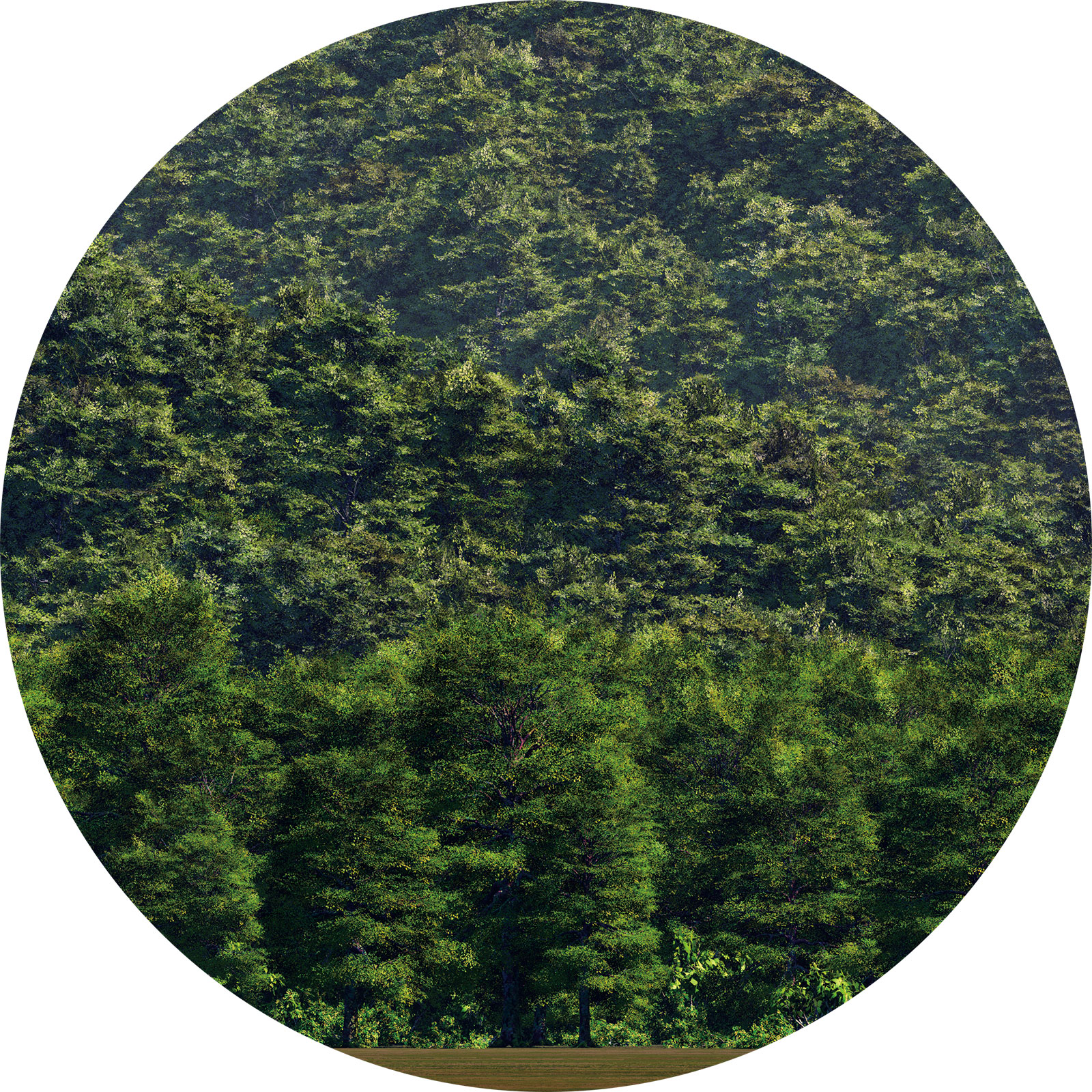 DSPRW-MtA-2006-SUM ジオラマシートPRO [FREE 山背景A（夏