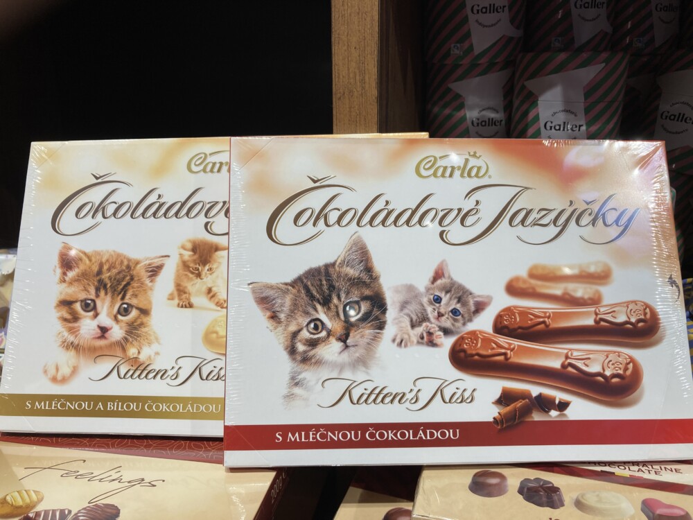 カルディ長崎浜町店#26 にゃんにゃんにゃんの日直前！スタッフが