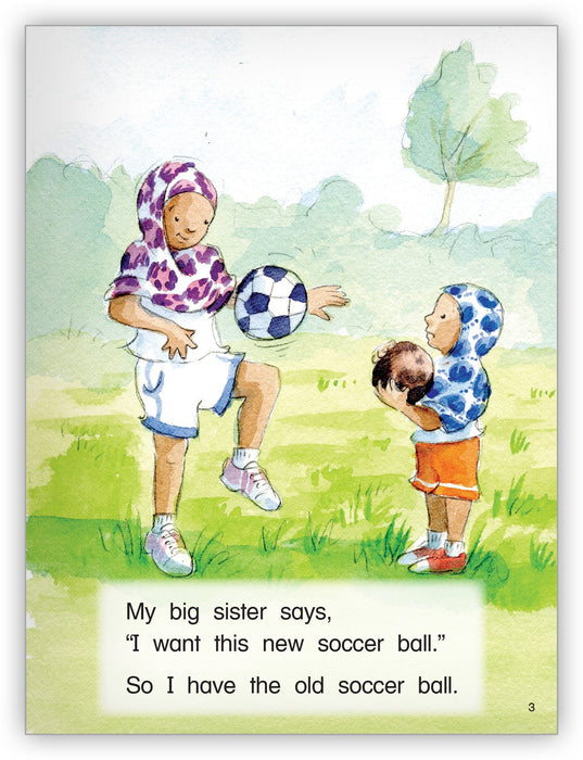 My Big Sister - Kaleidoscope Collection - Hameray Publishing