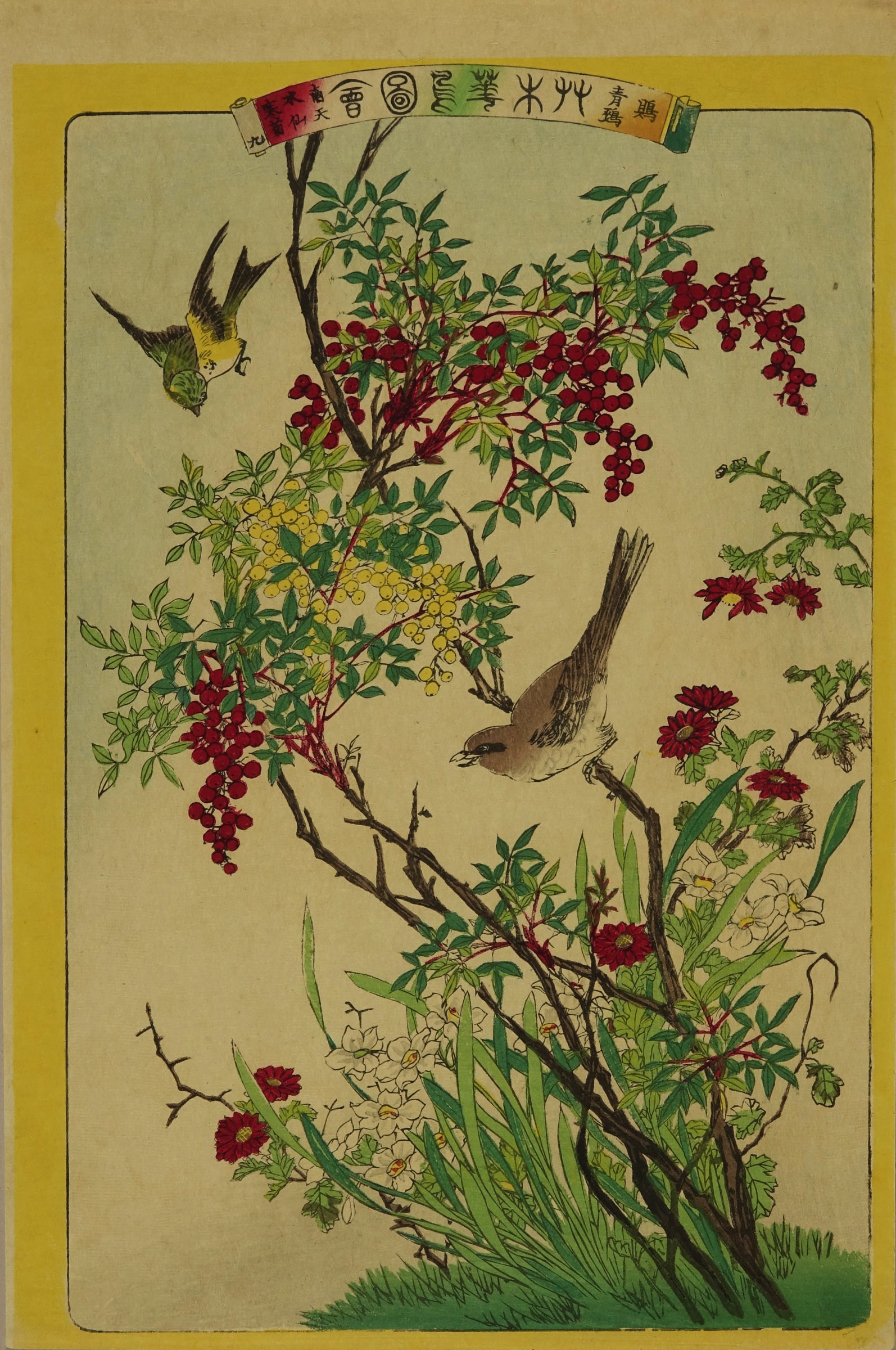 暁山 艸木華鳥図会 九 鵙 青鵄 南天 水仙 寒菊 | 浮世絵 | 原書房 神田