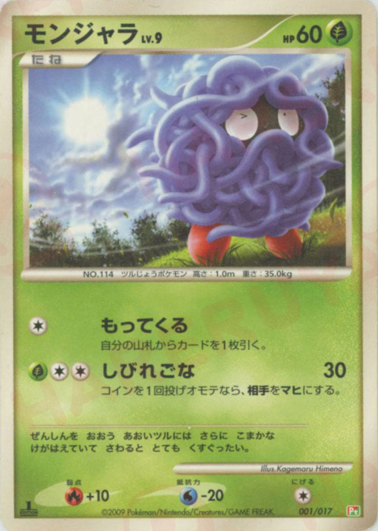 構築スタンダードデッキ「アルセウスLV.X 草&炎」 – 晴れる屋2