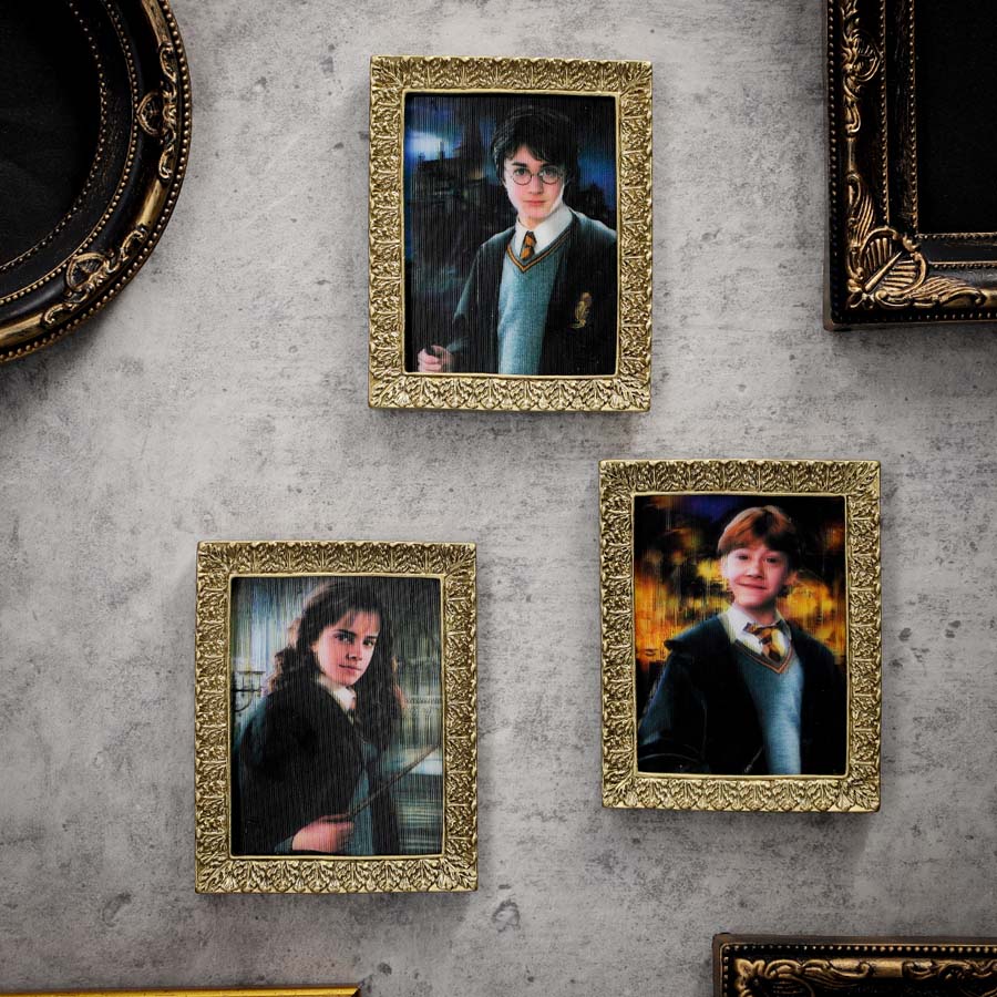 ハリー・ポッター 肖像画コレクションマグネットコレクション 全8種