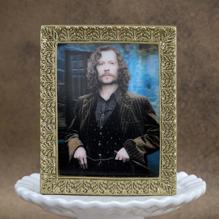 ハリー・ポッター 肖像画コレクションマグネットコレクション 全8種