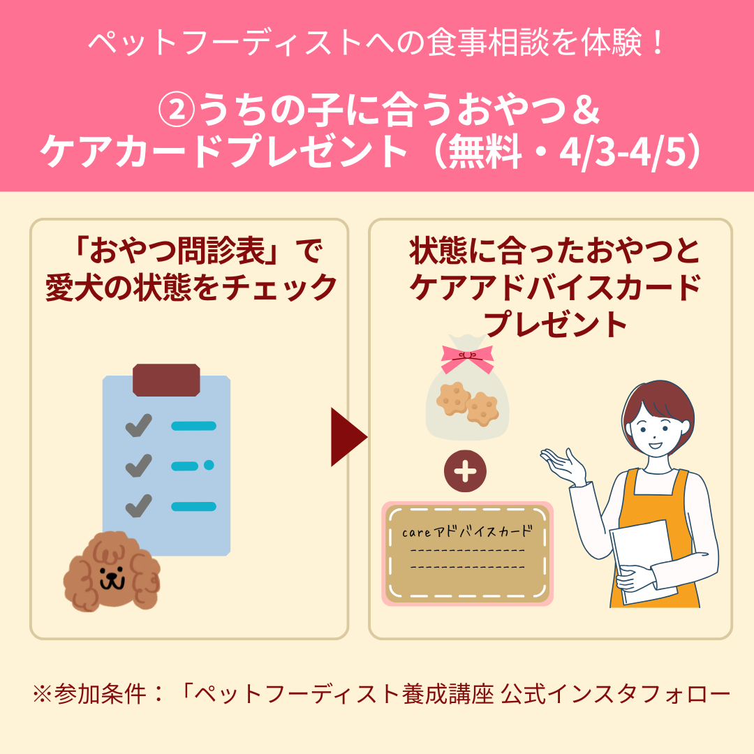 新着情報詳細｜ペットの資格、ホリスティックケア・カウンセラー養成講座