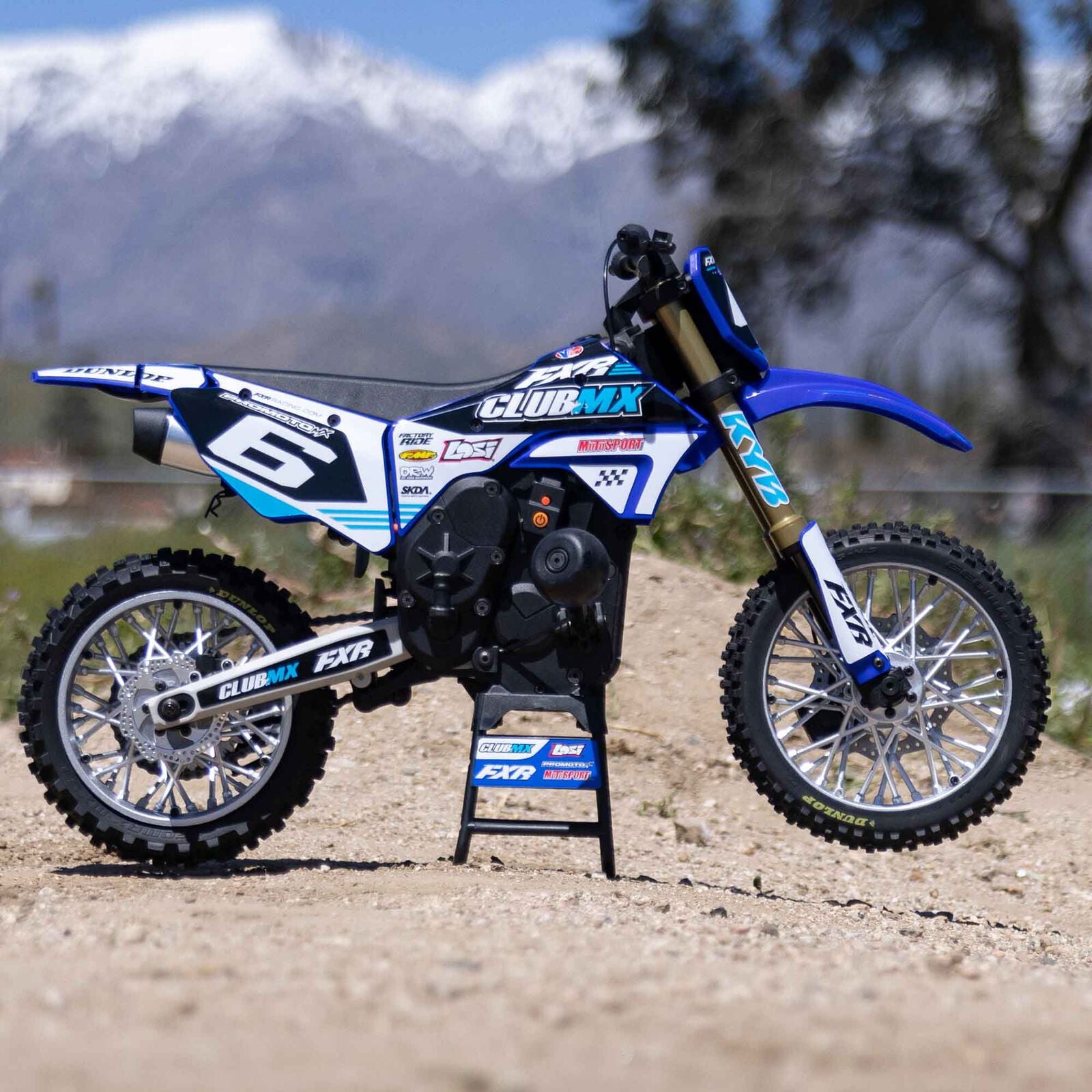 Losi 1/4 Promoto-MX Motorcycle RTR, Club MX - BLUE – HeliDirect