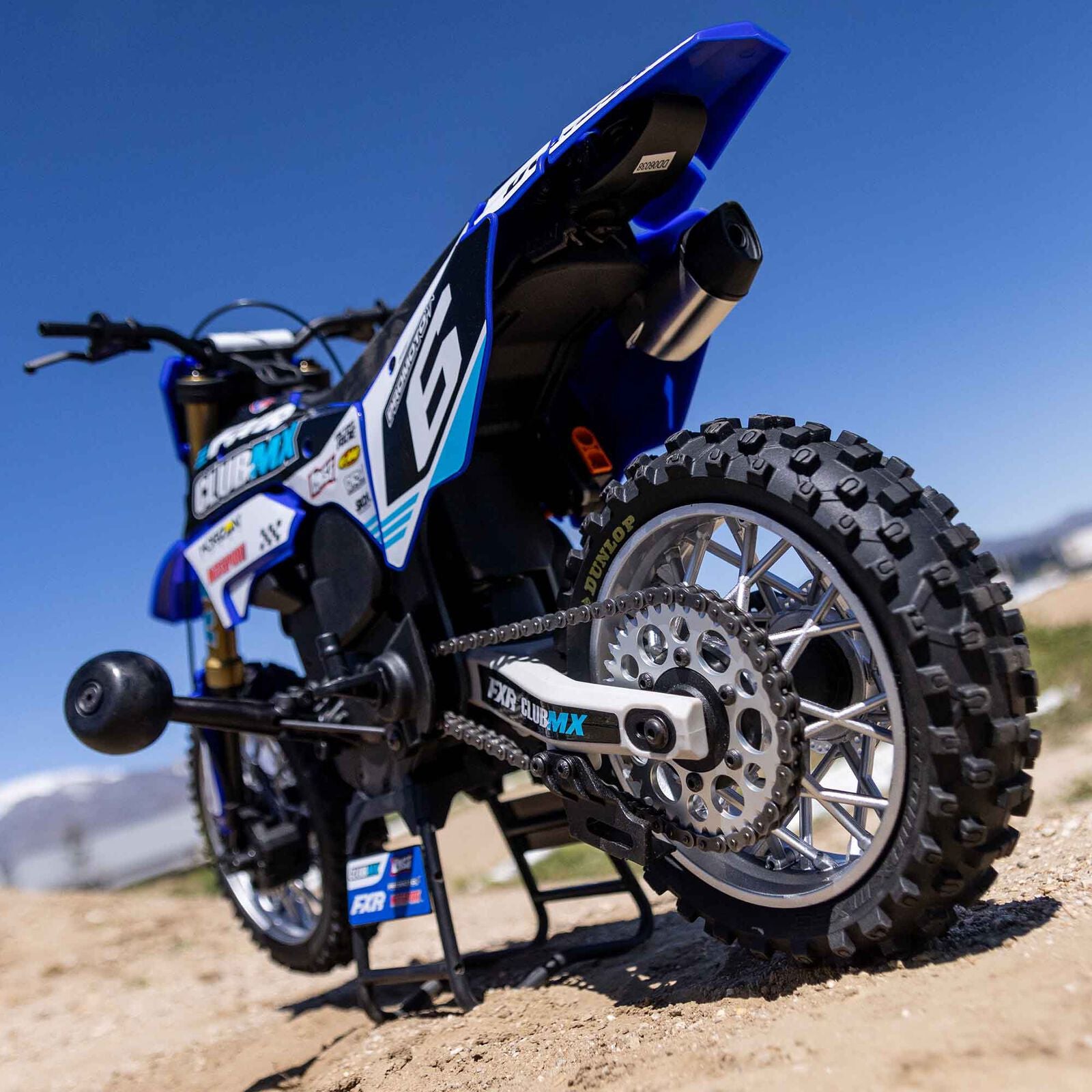 Losi 1/4 Promoto-MX Motorcycle RTR, Club MX - BLUE – HeliDirect