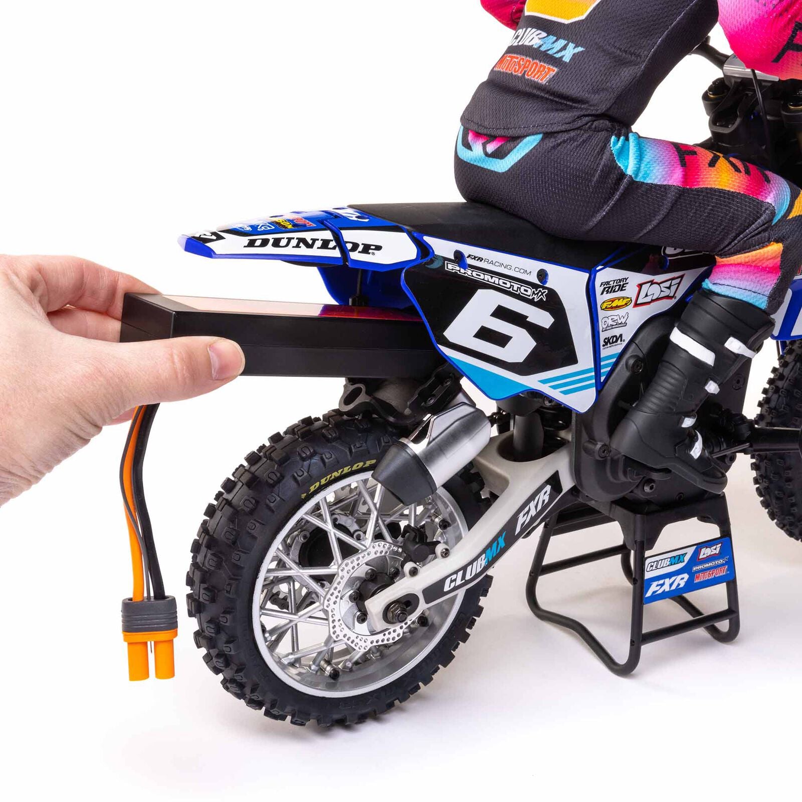 Losi 1/4 Promoto-MX Motorcycle RTR, Club MX - BLUE – HeliDirect