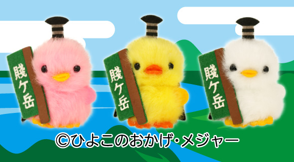 ぴより～なオフィシャルサイト｜株式会社ひよこのおかげ｜トップページ