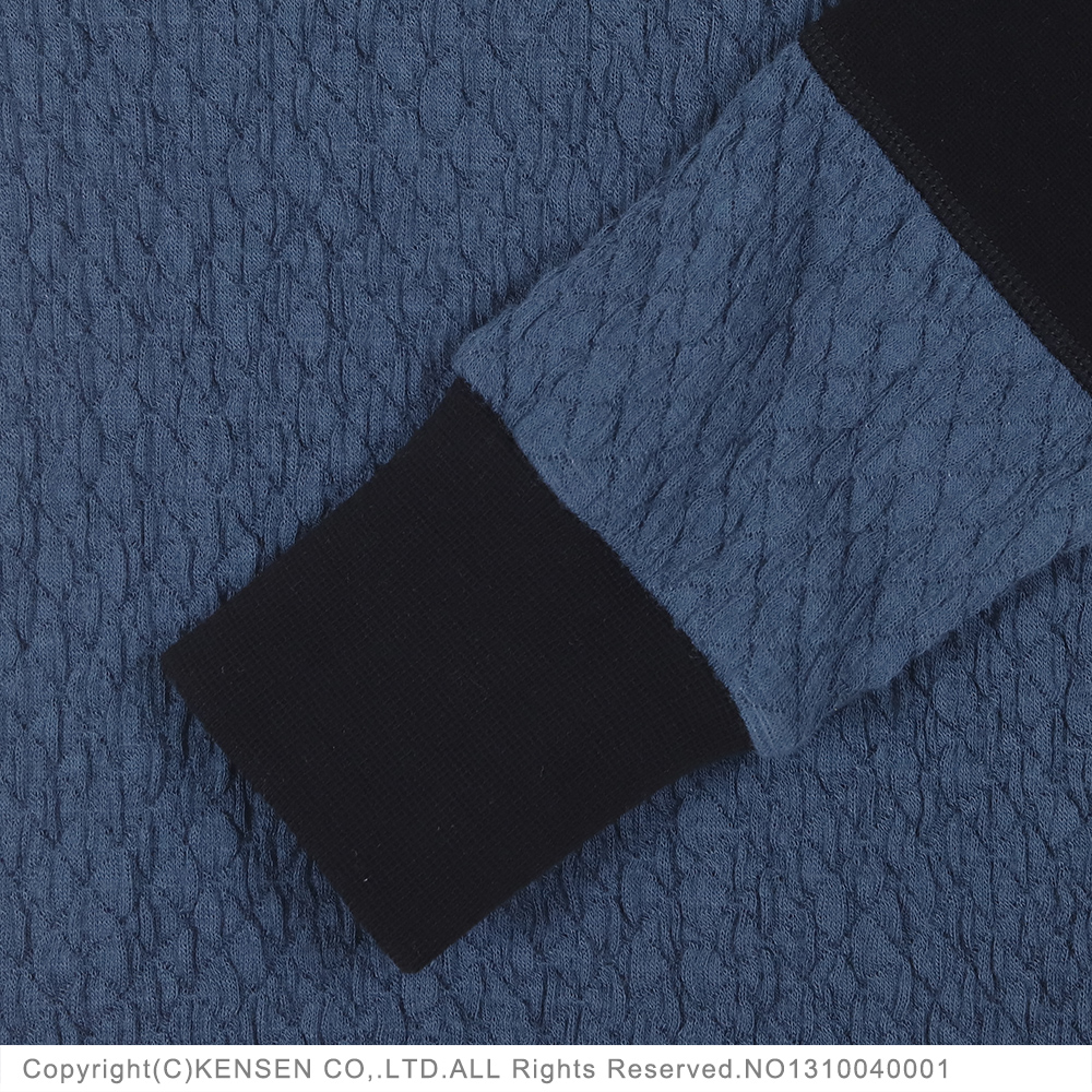 ひだまり本舗本店｜チョモランマプロ 紳士ハイネックアンダー詳細