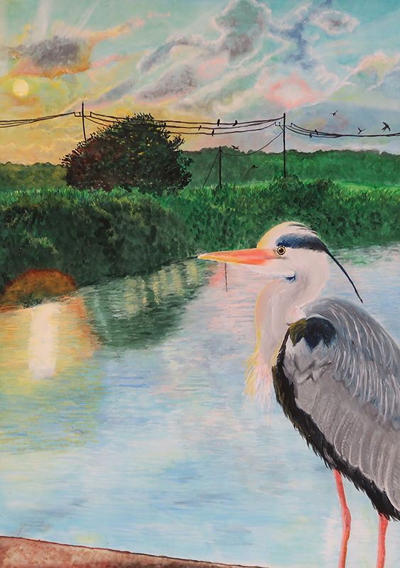 水辺の風景画コンクール│公益財団法人 印旛沼環境基金